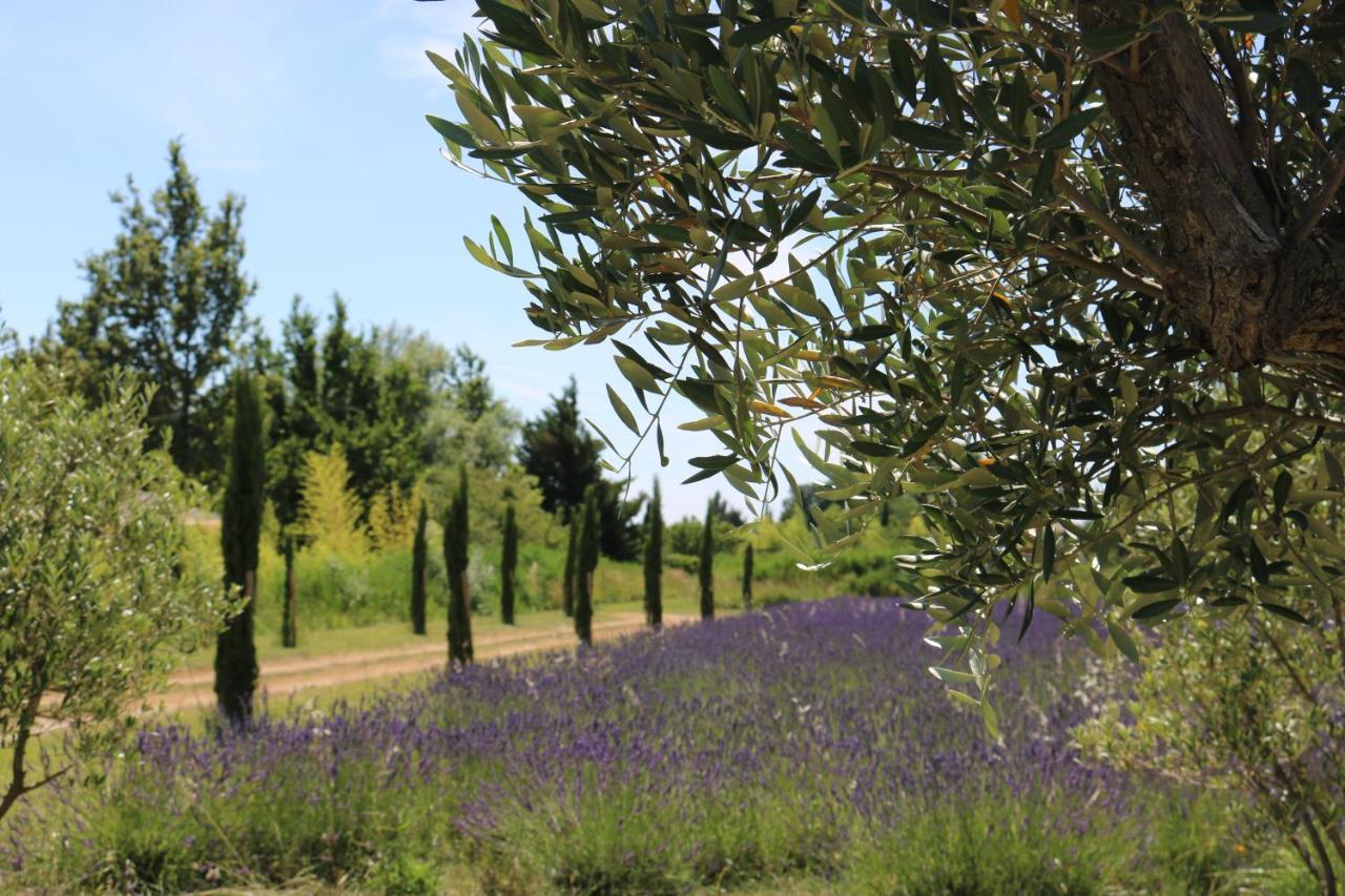 Lavand'Ange Et Spa Sarrians Exterior foto
