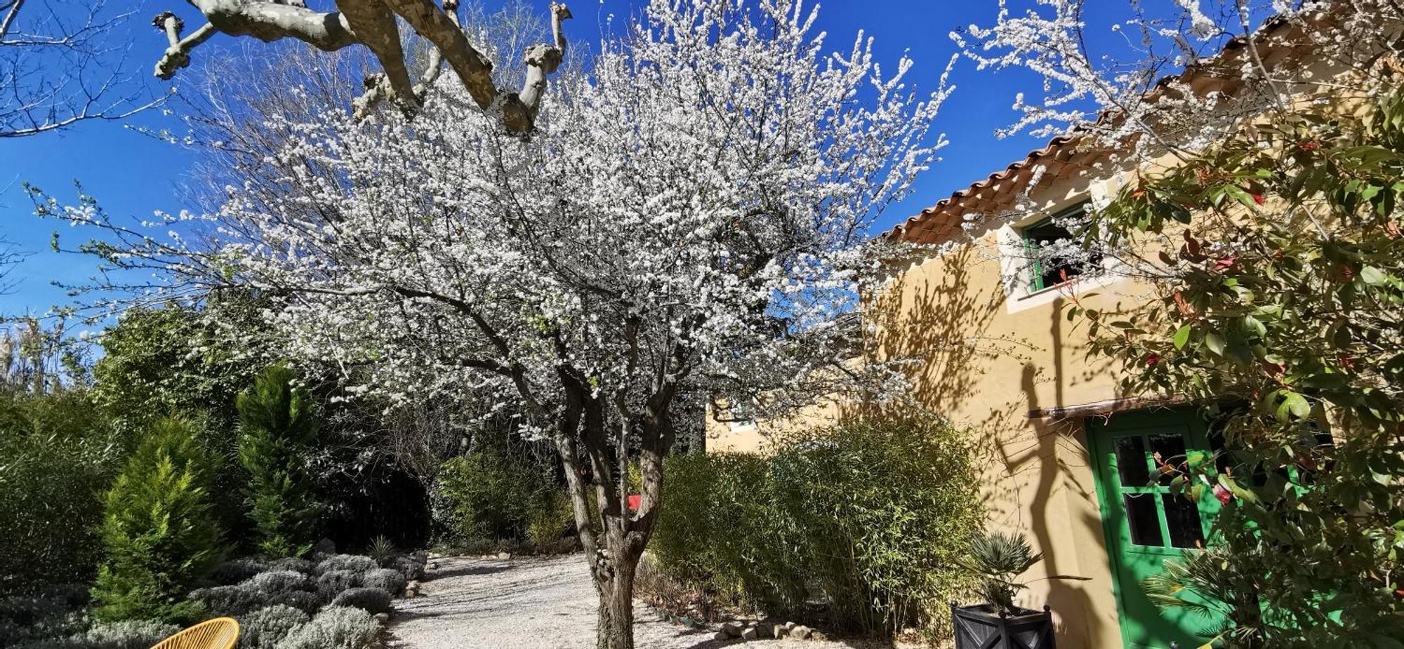 Lavand'Ange Et Spa Sarrians Exterior foto
